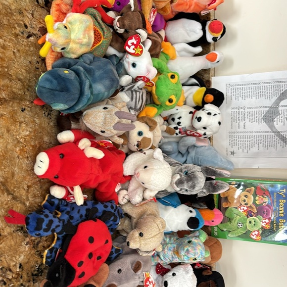 Beanie babies - Picture 3 of 9
